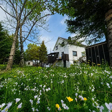 Otel Elys - The Lowfo House Lofoten *